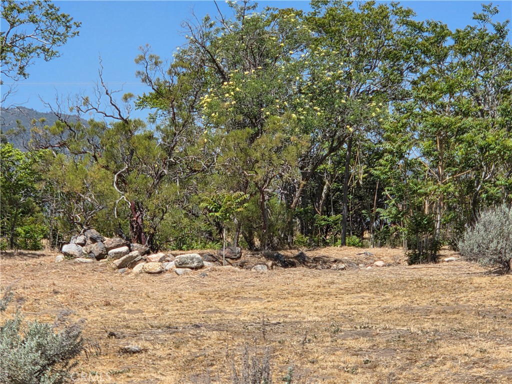 37230 Bautista Canyon, Anza, CA 92539 — photo 1