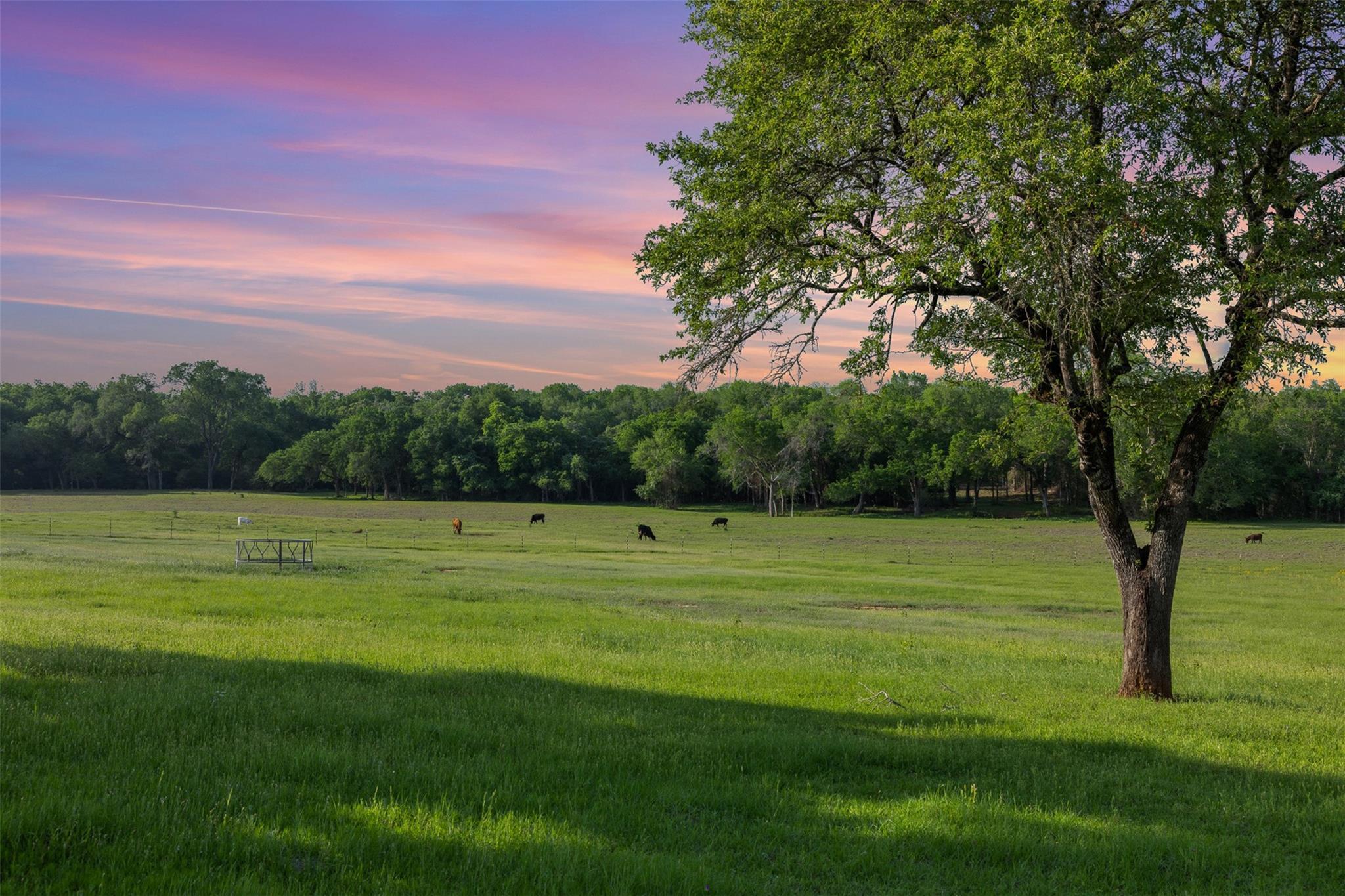 3004 County Road 310, Caldwell, TX 77836 — photo 1