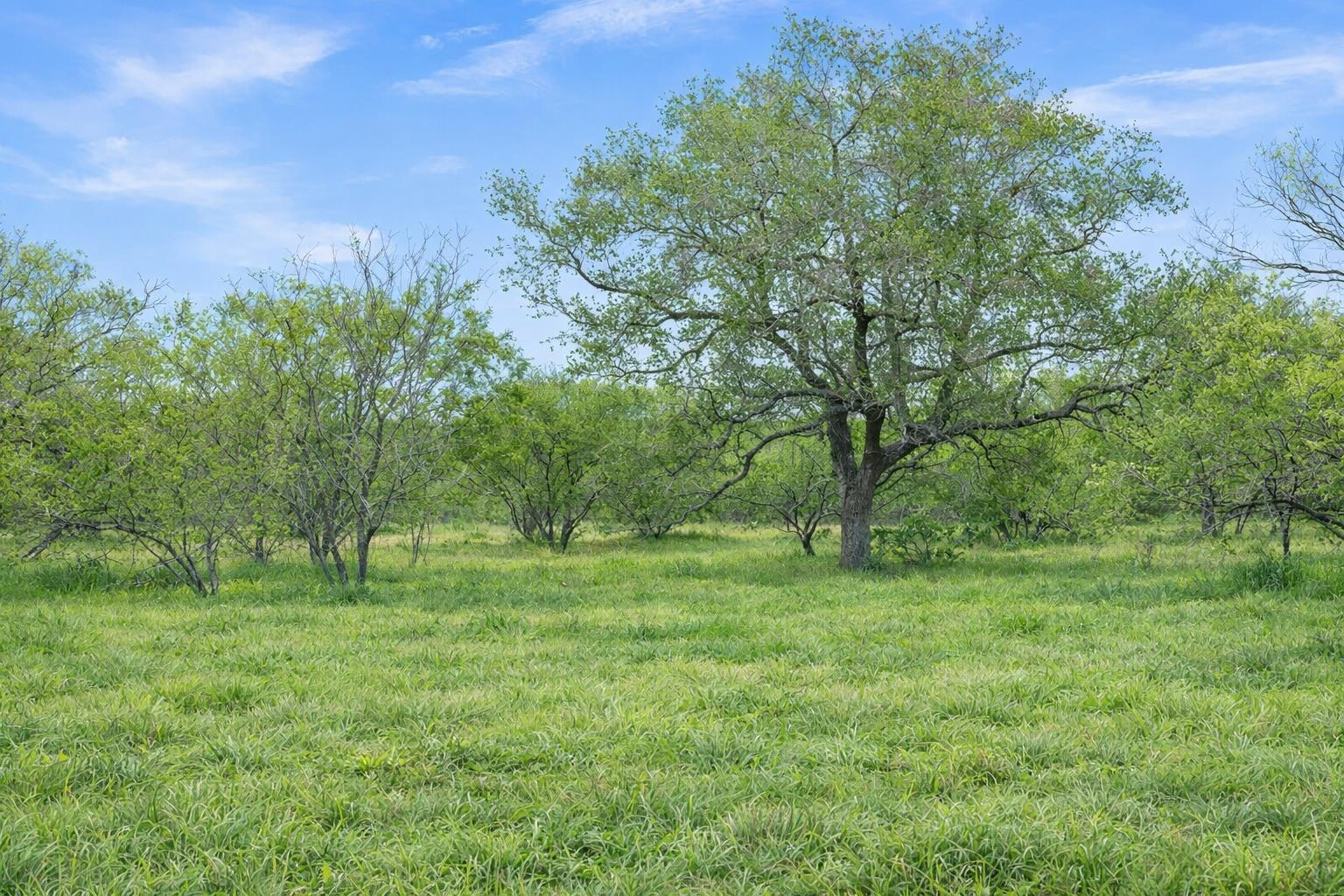 7 CR 171, Nixon, TX 78140 — photo 1