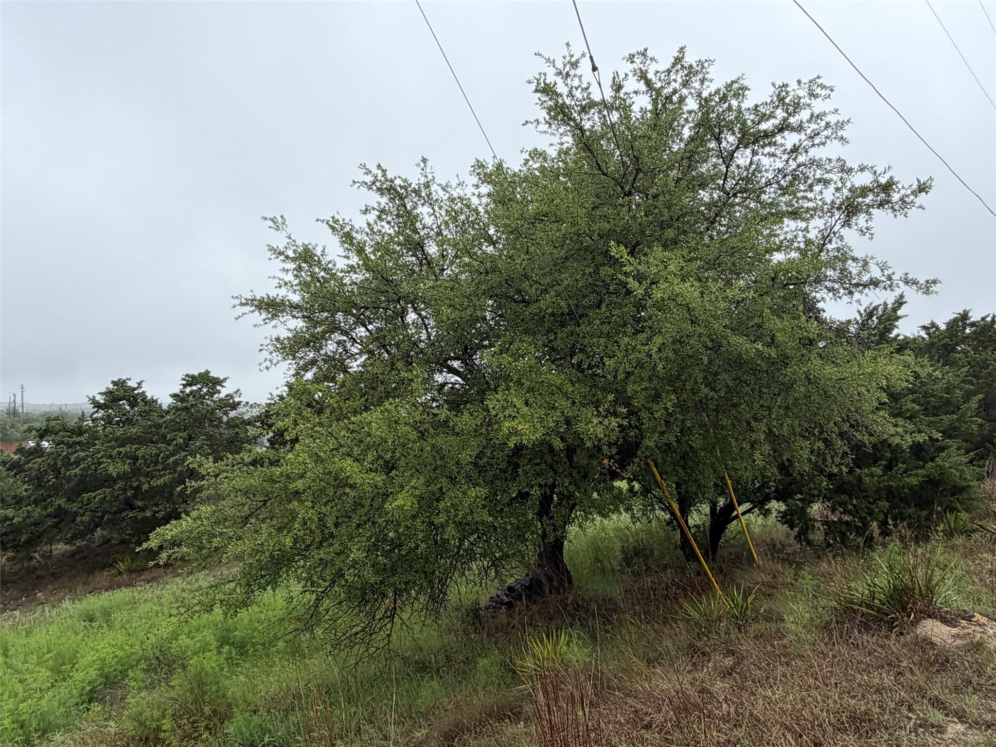 17408 Lake Wood Cir, Dripping Springs, TX 78620 — photo 1