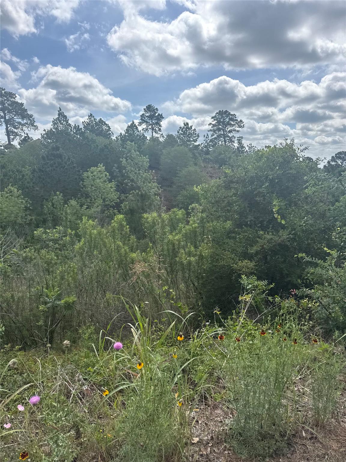 Lot 798  Tahitian Dr, Bastrop, TX 78602 — photo 1