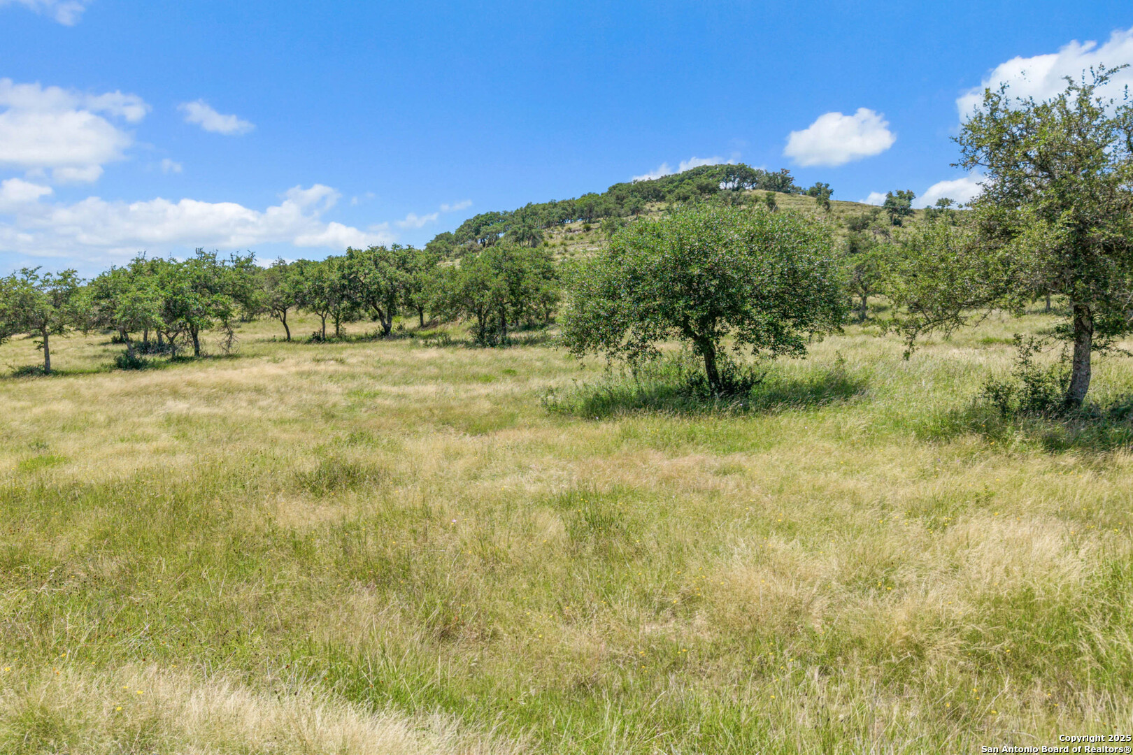 TBD Kendalia Rd, Blanco, TX 78606 — photo 1
