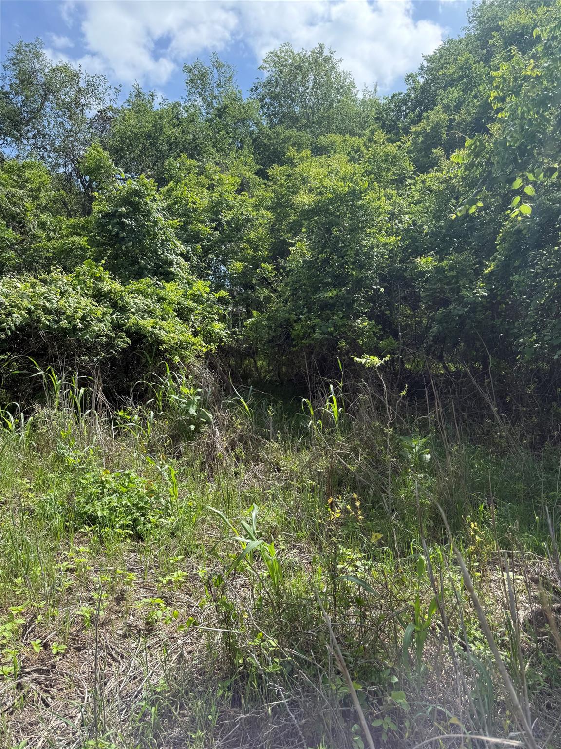 Lot 959 Riverside Dr, Bastrop, TX 78602 — photo 1