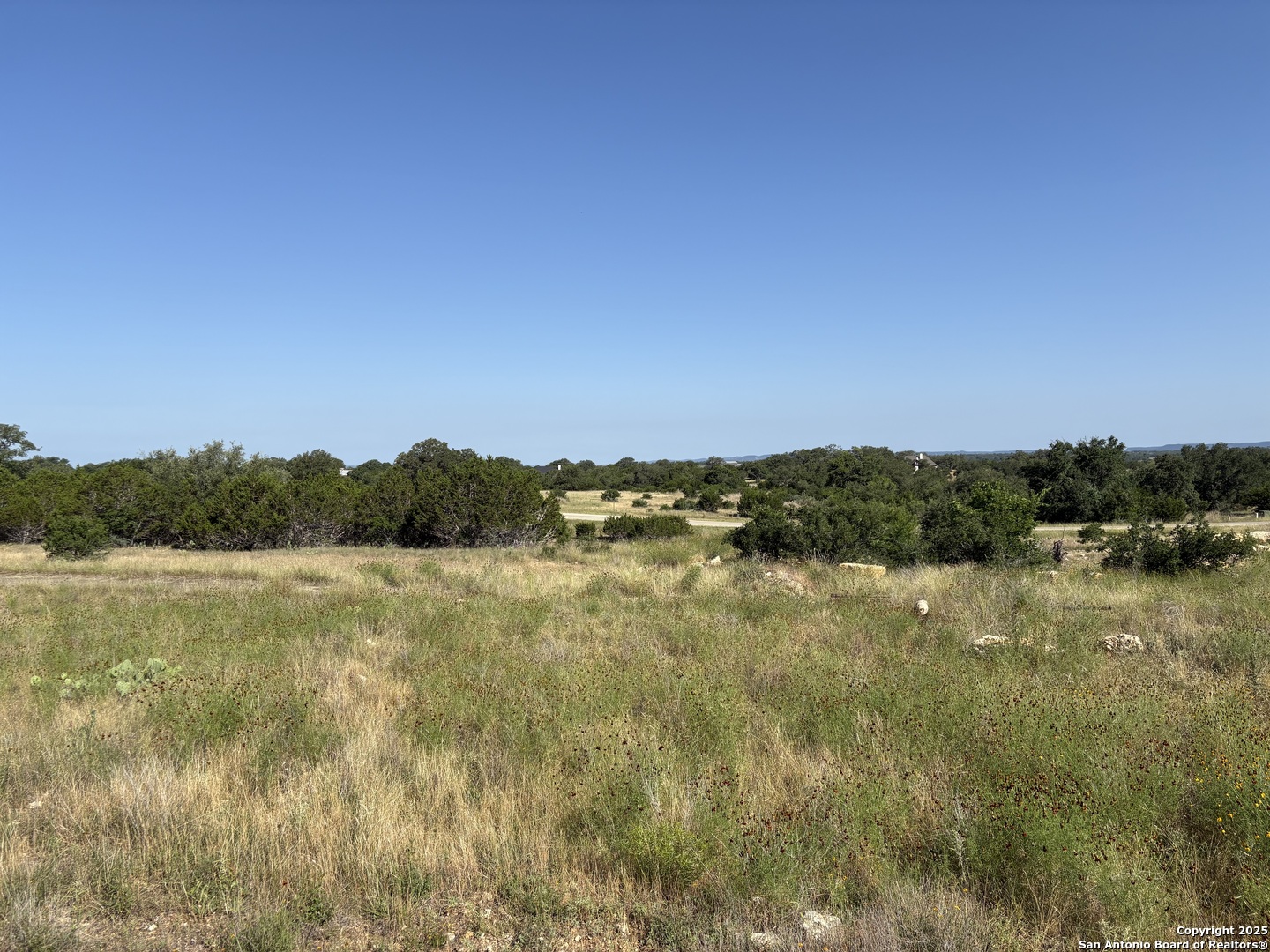 717 Palomino Springs, , 78003 — photo 1