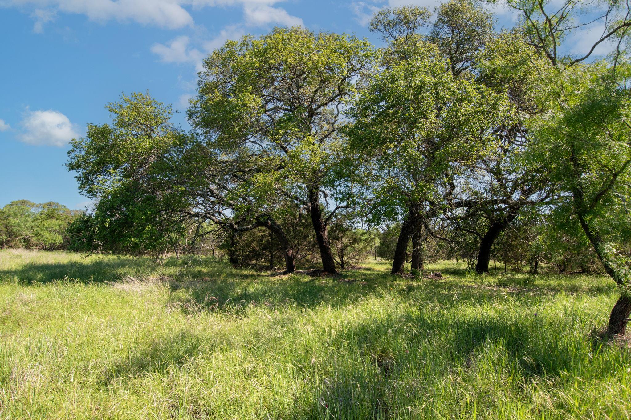 Private Road 1377, Lampasas, TX 76550 — photo 1