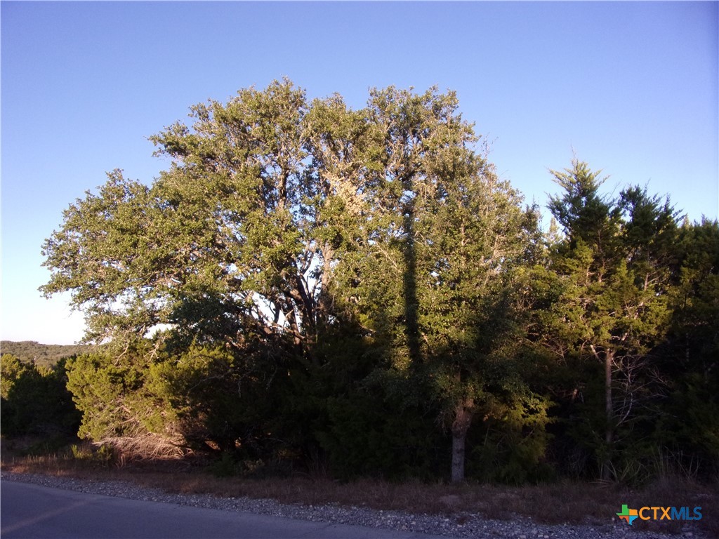 361/395 Mountain Wood, Canyon Lake, TX 78133 — photo 1
