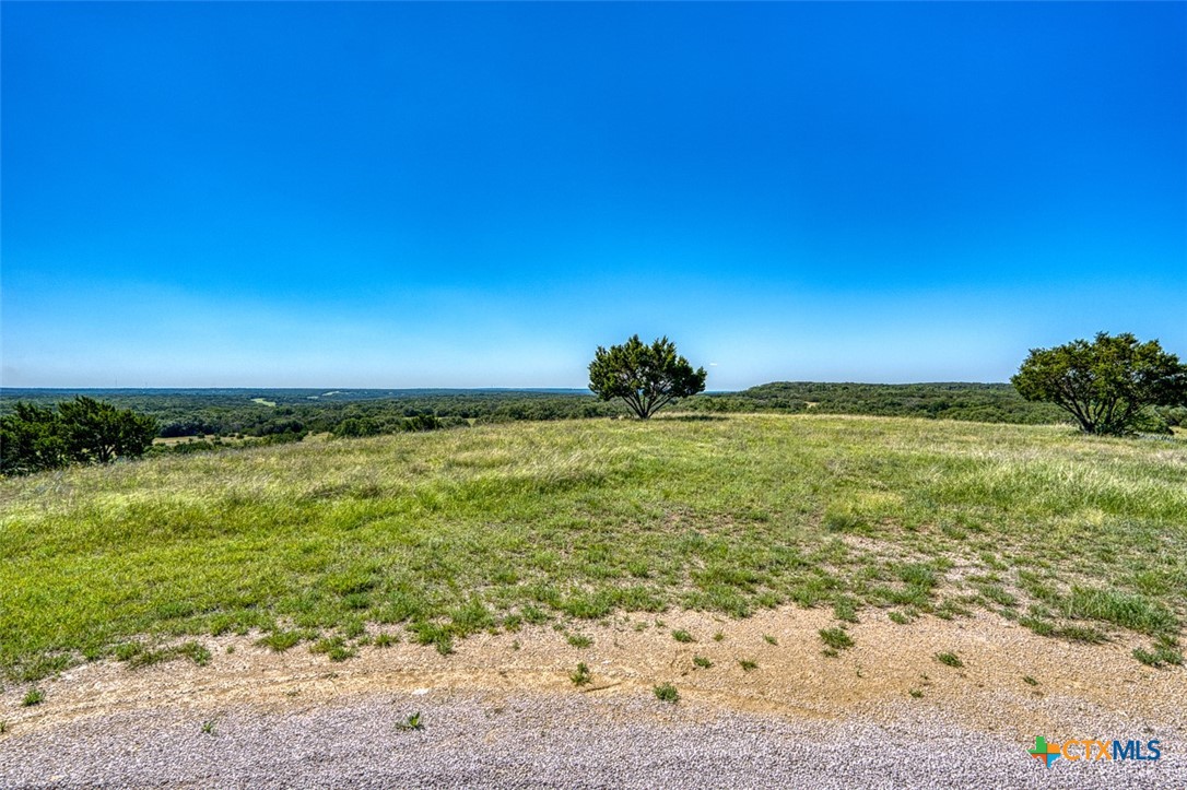993 Blackbuck Ridge Drive, Lampasas, TX 76550 — photo 1