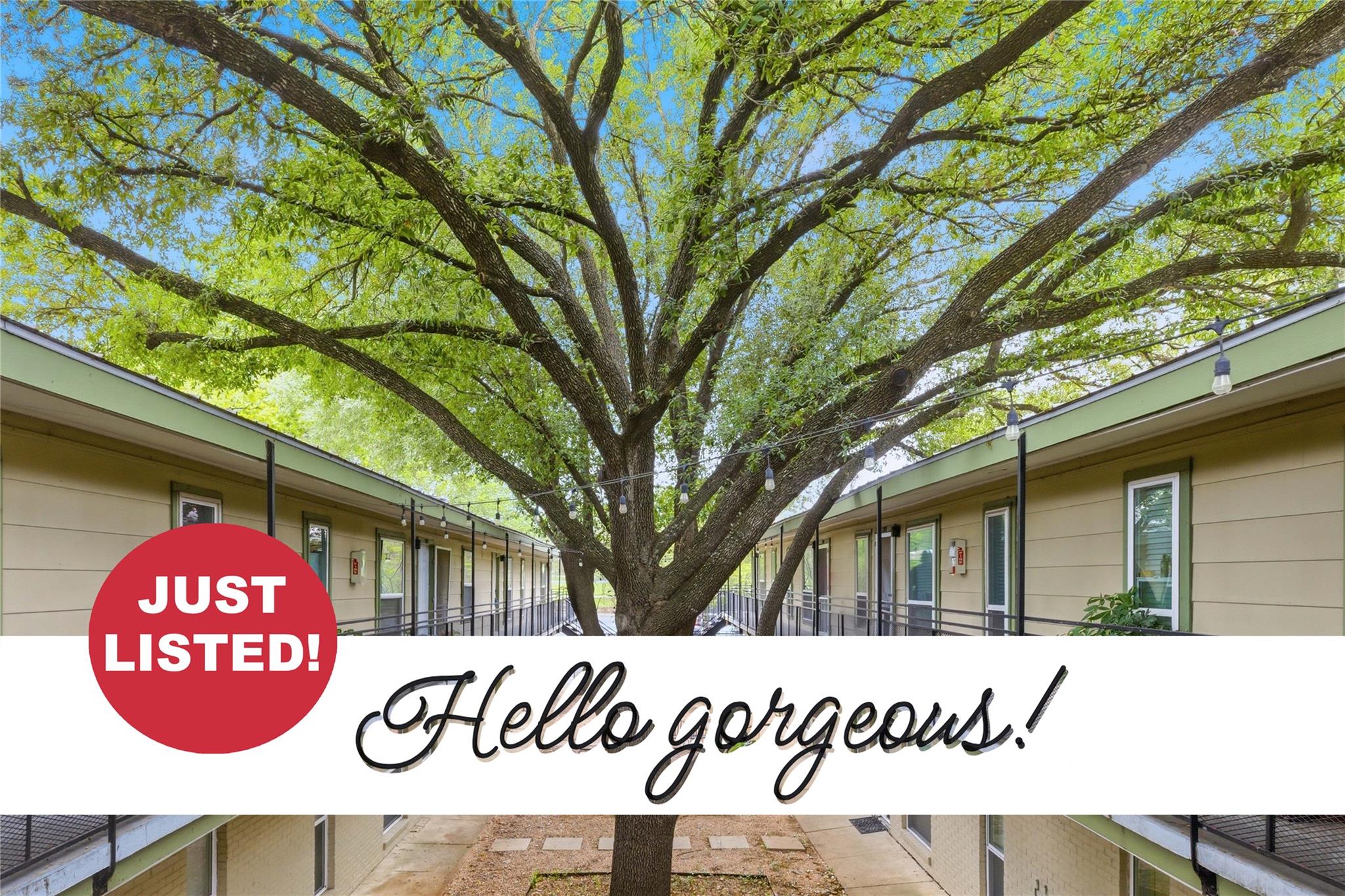 2021 Bluebonnet, Austin, TX 78704 — photo 1