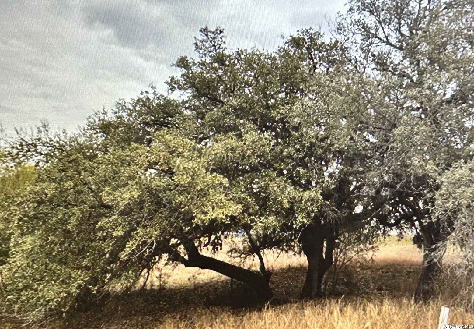 71 River Blf, Castroville, TX 78009 — photo 1