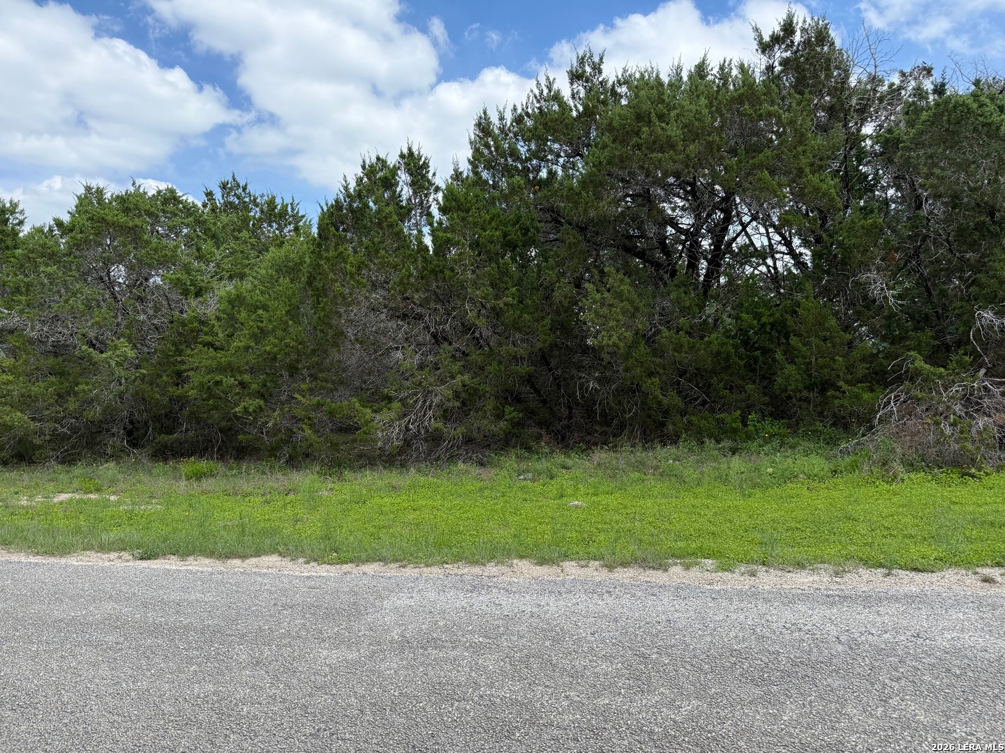 1252 HIGH HILLS DR, ,  78133 — photo 1