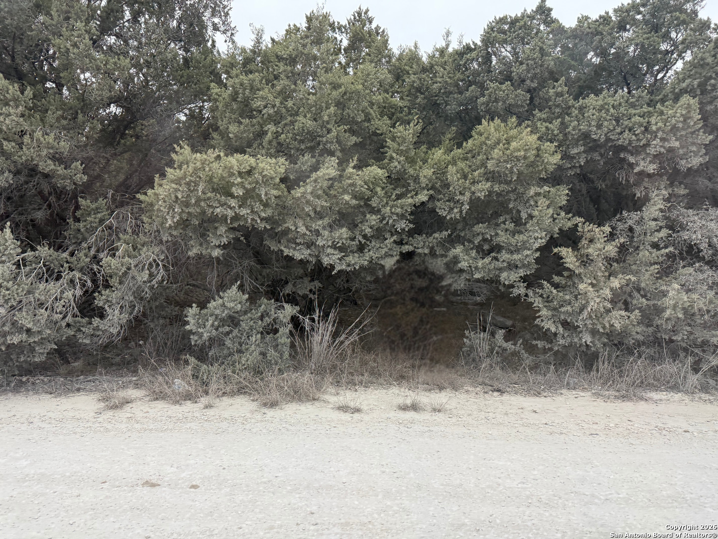 1372 Laguna Dr., ,  78070 — photo 1