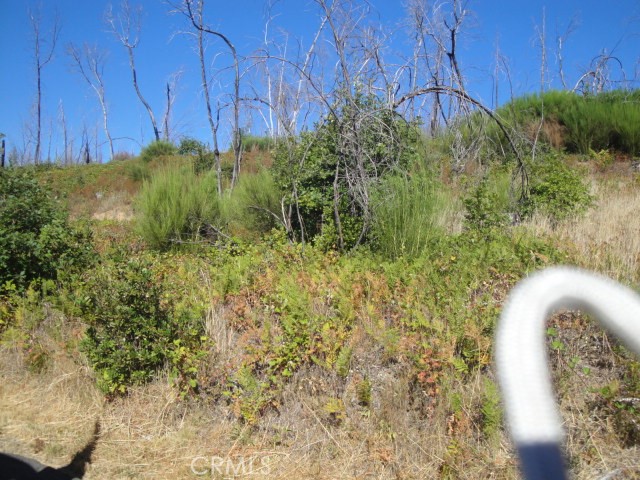0 Meadow Lane, Berry Creek, CA 95916 — photo 1