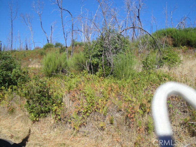 0 Meadow Lane, Berry Creek, CA 95916 — photo 1