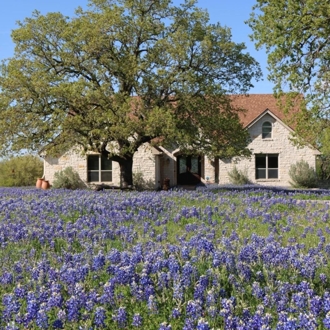 120 Oak Meadow, Spicewood, TX 78669 — photo 1