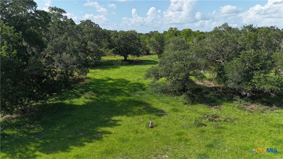 10772 State Highway 111, Edna, TX 77957 — photo 1