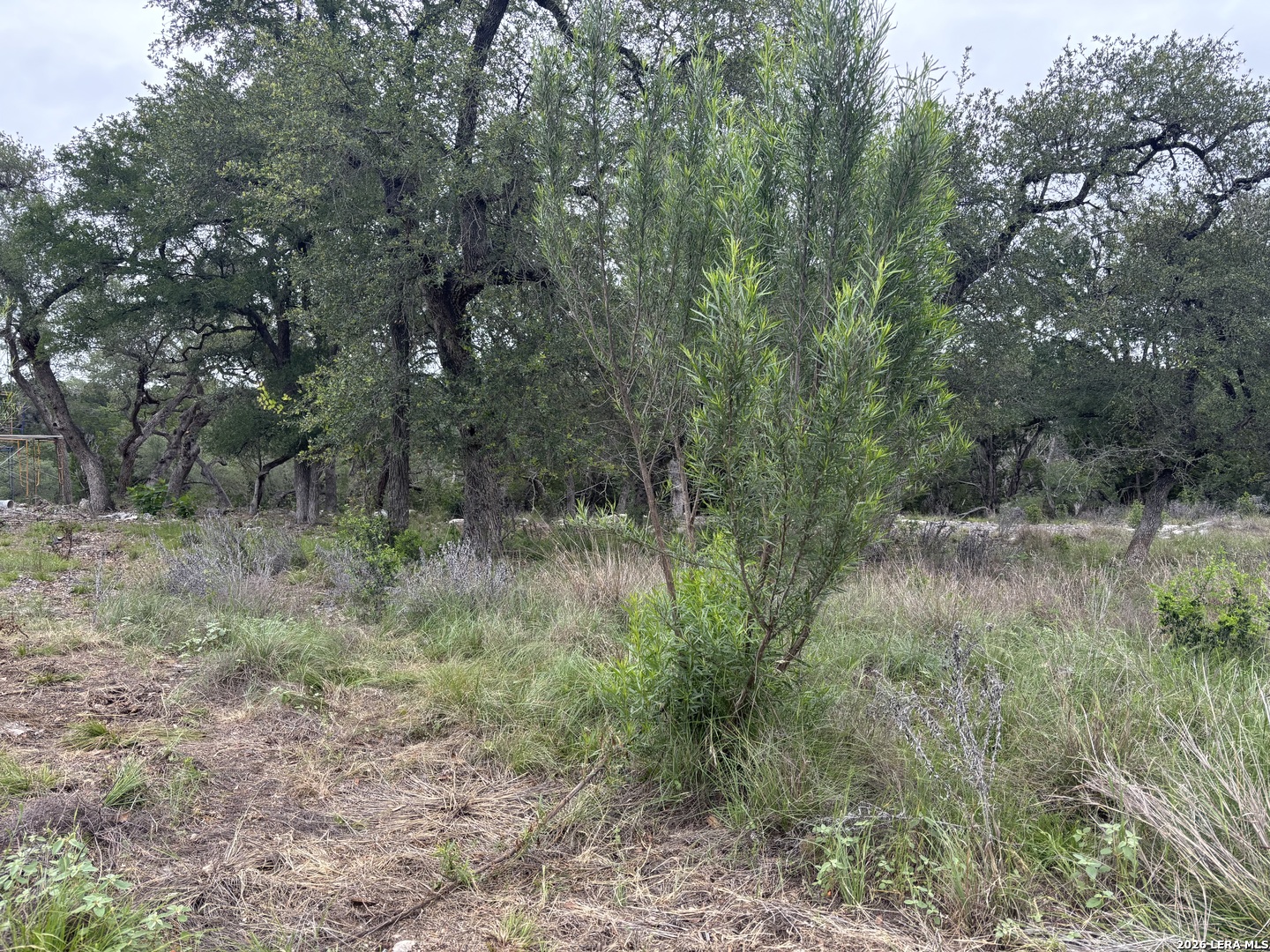 1464 STAHLMAN WAY, New Braunfels, TX 78132 — photo 1