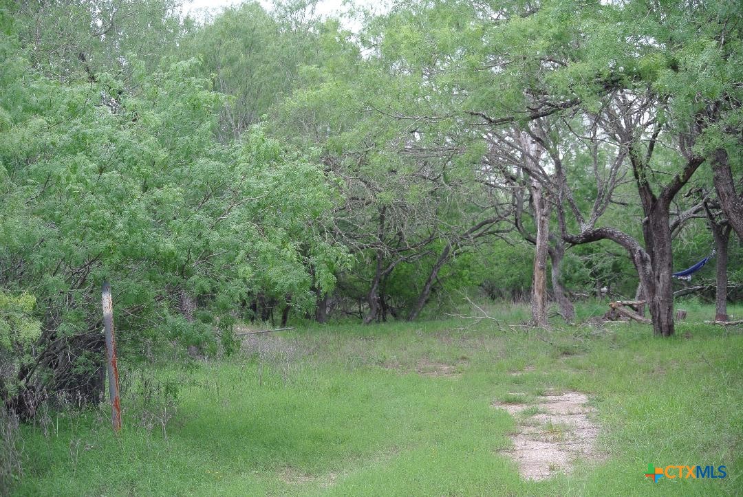 185 Campobella Lane, Kingsbury, TX 78638 — photo 1