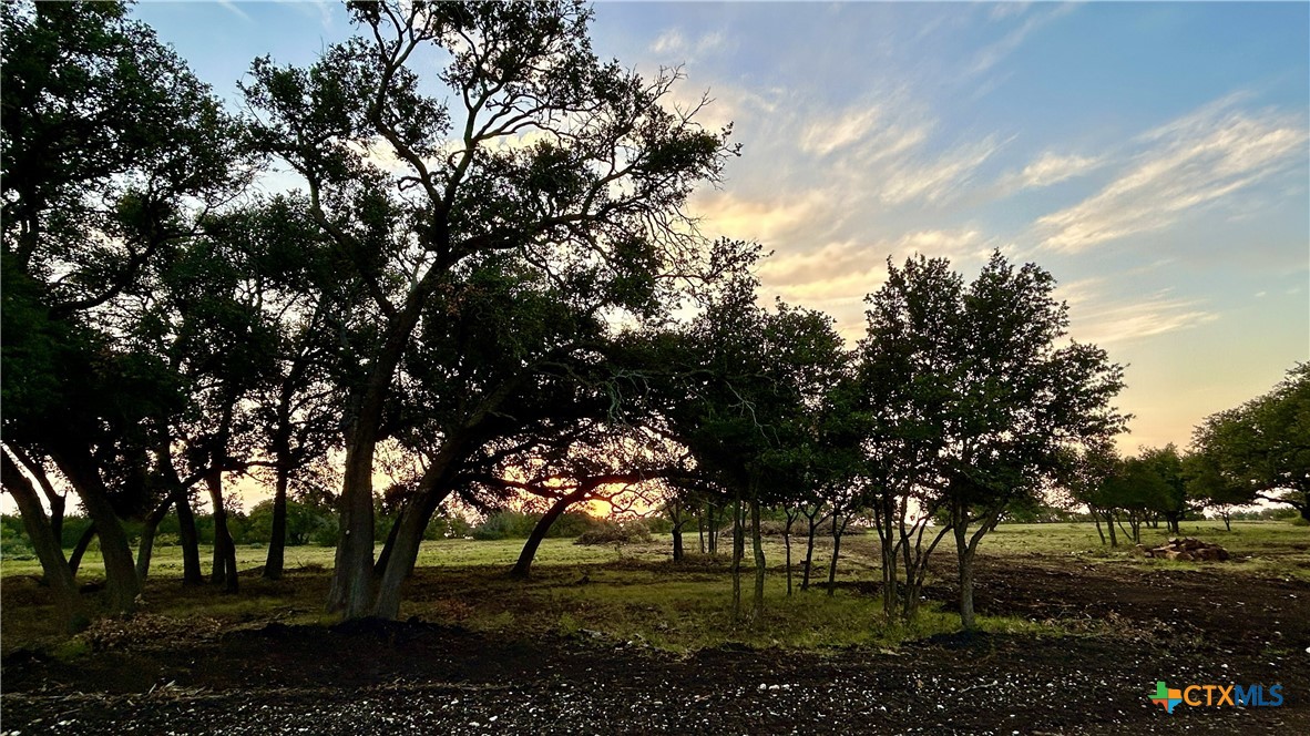 101 PR 1295, Lampasas, TX 76550 — photo 1