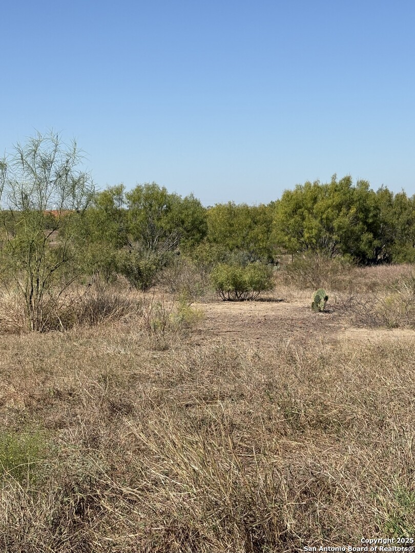 1446 County Road 332, Charlotte, TX 78011 — photo 1