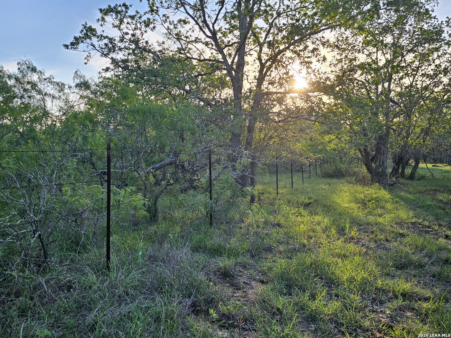 845 Campobella Ln, ,  78638 — photo 1