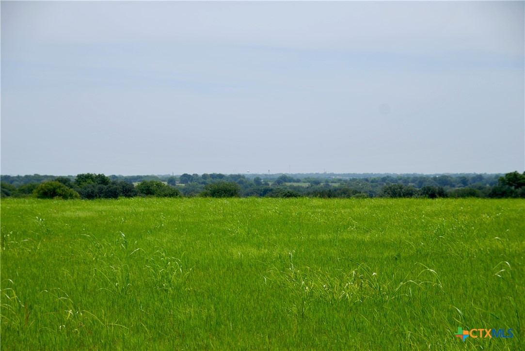 Tract 4 Company Field Road, Schulenburg, TX 78956 — photo 1