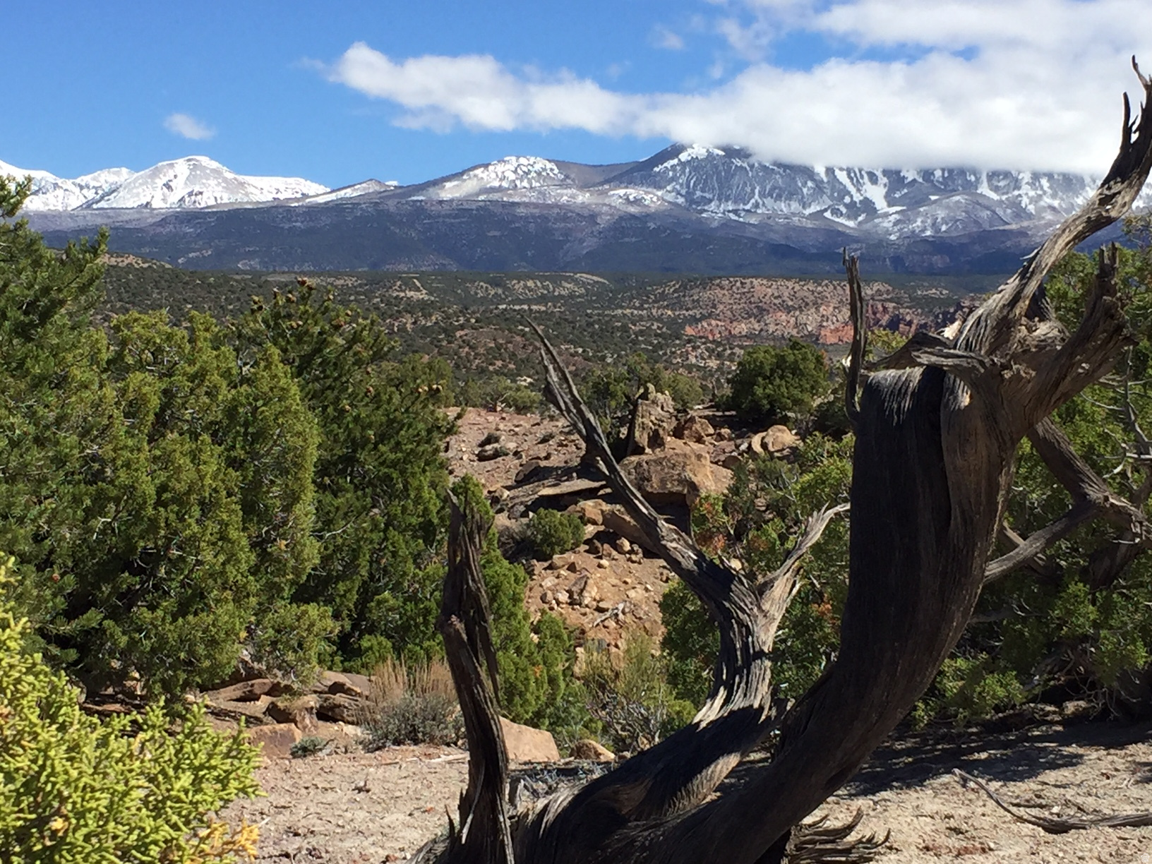 57 W KANE CANYON DR17, Moab, UT 84532 — photo 1