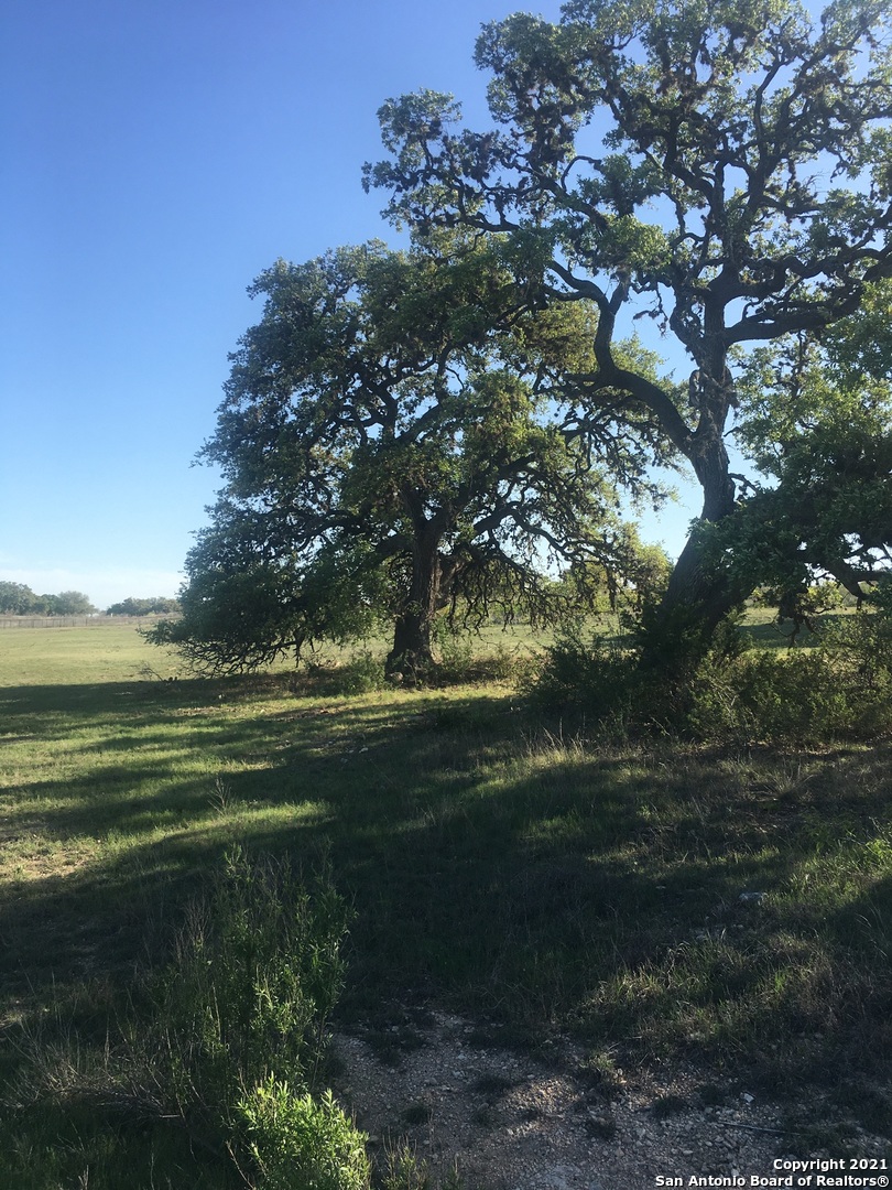 LOT 592 & 593 Bridle Chase, , 78003 — photo 1