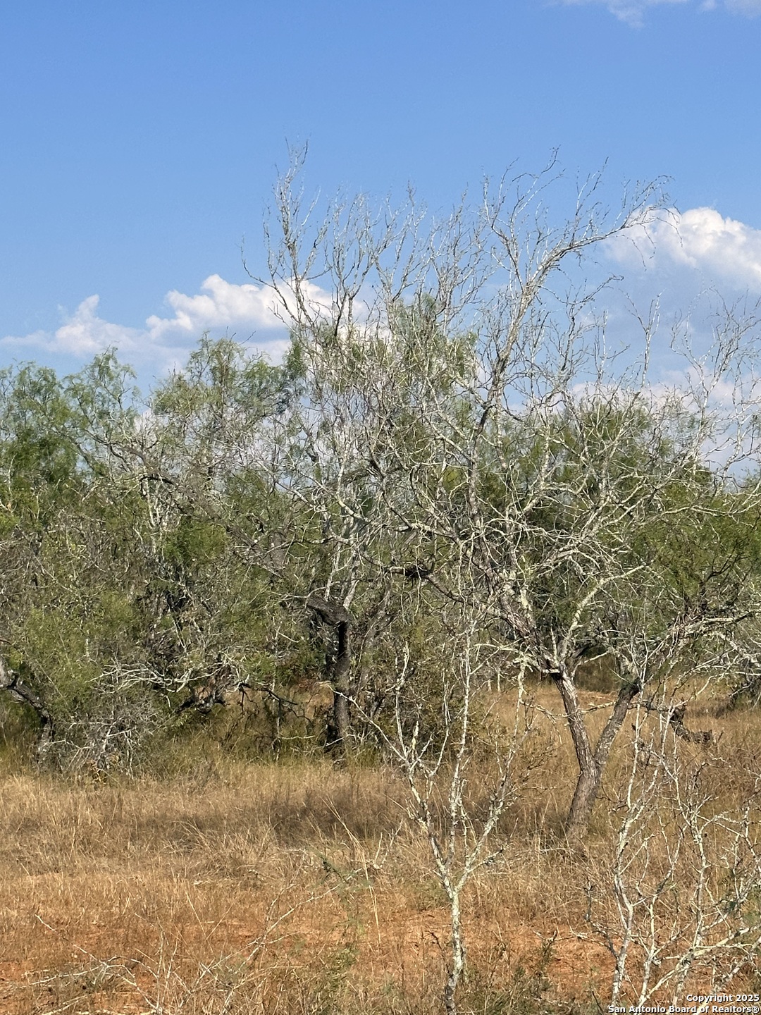 5986 Fm 1107 Unit B, ,  78160 — photo 1