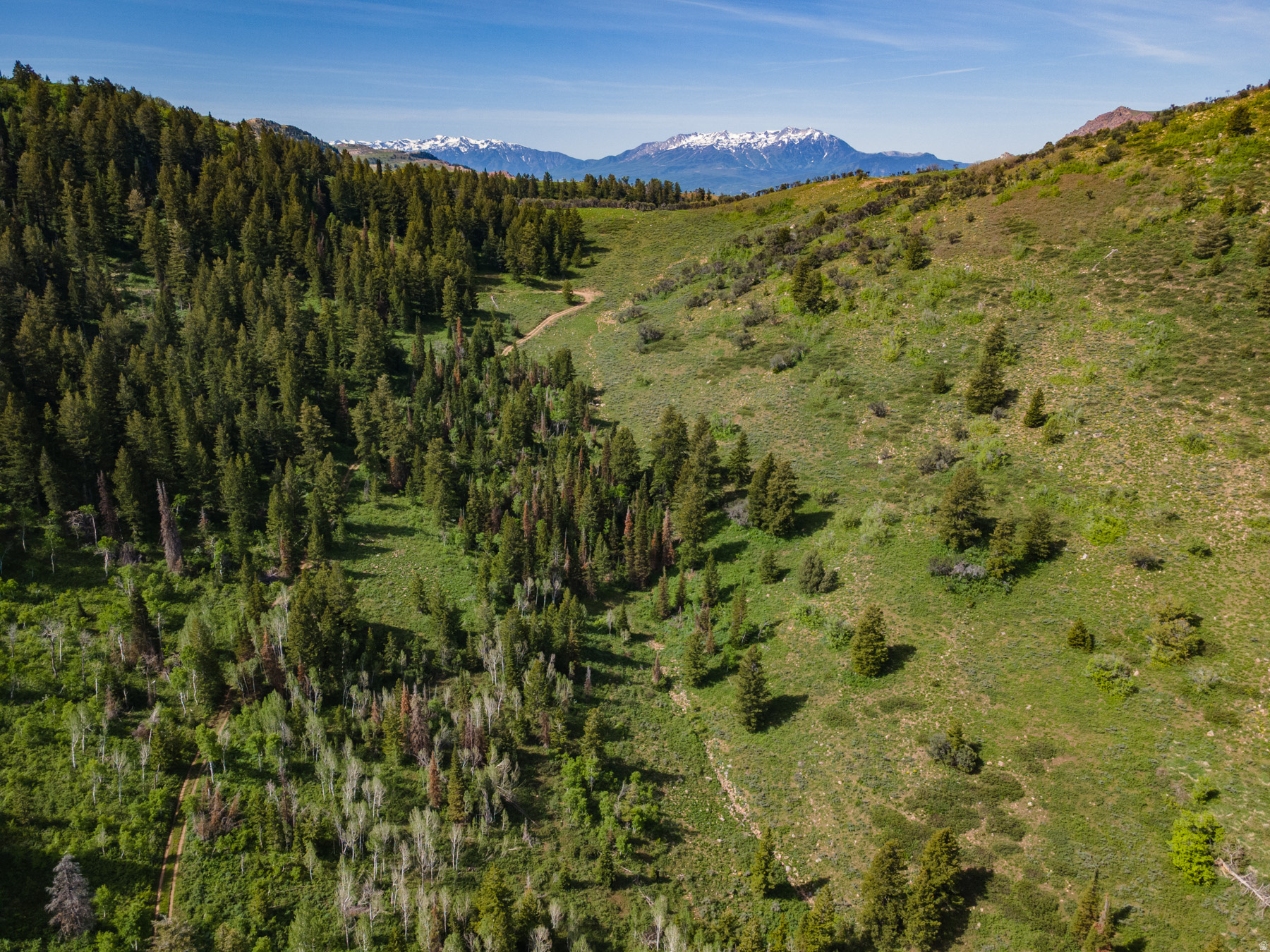 40  SUNRIDGE RNCH, Huntsville, UT 84317 — photo 1