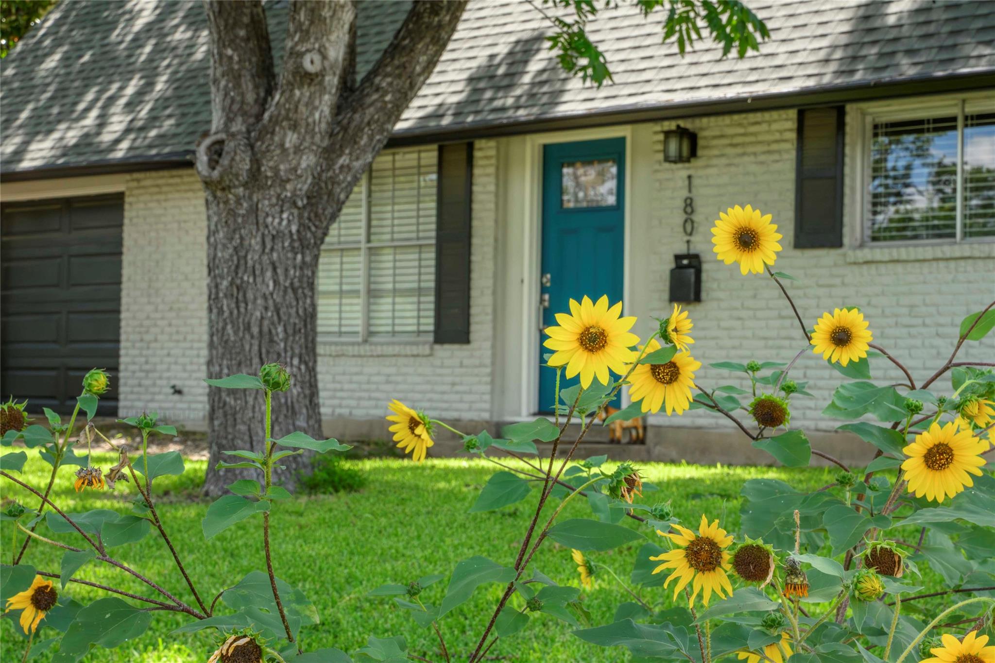 1801 Ohlen, Austin, TX 78757 — photo 1