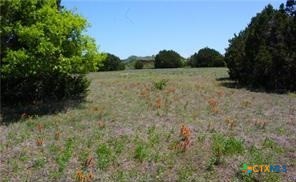 8590 Trimmier Road, Killeen, TX 76542 — photo 1