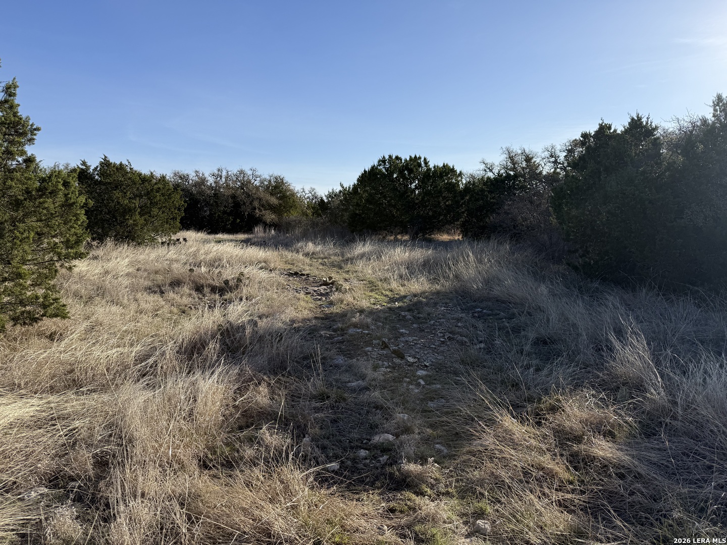 LOT 3D N Laird Rd., ,  78631 — photo 1