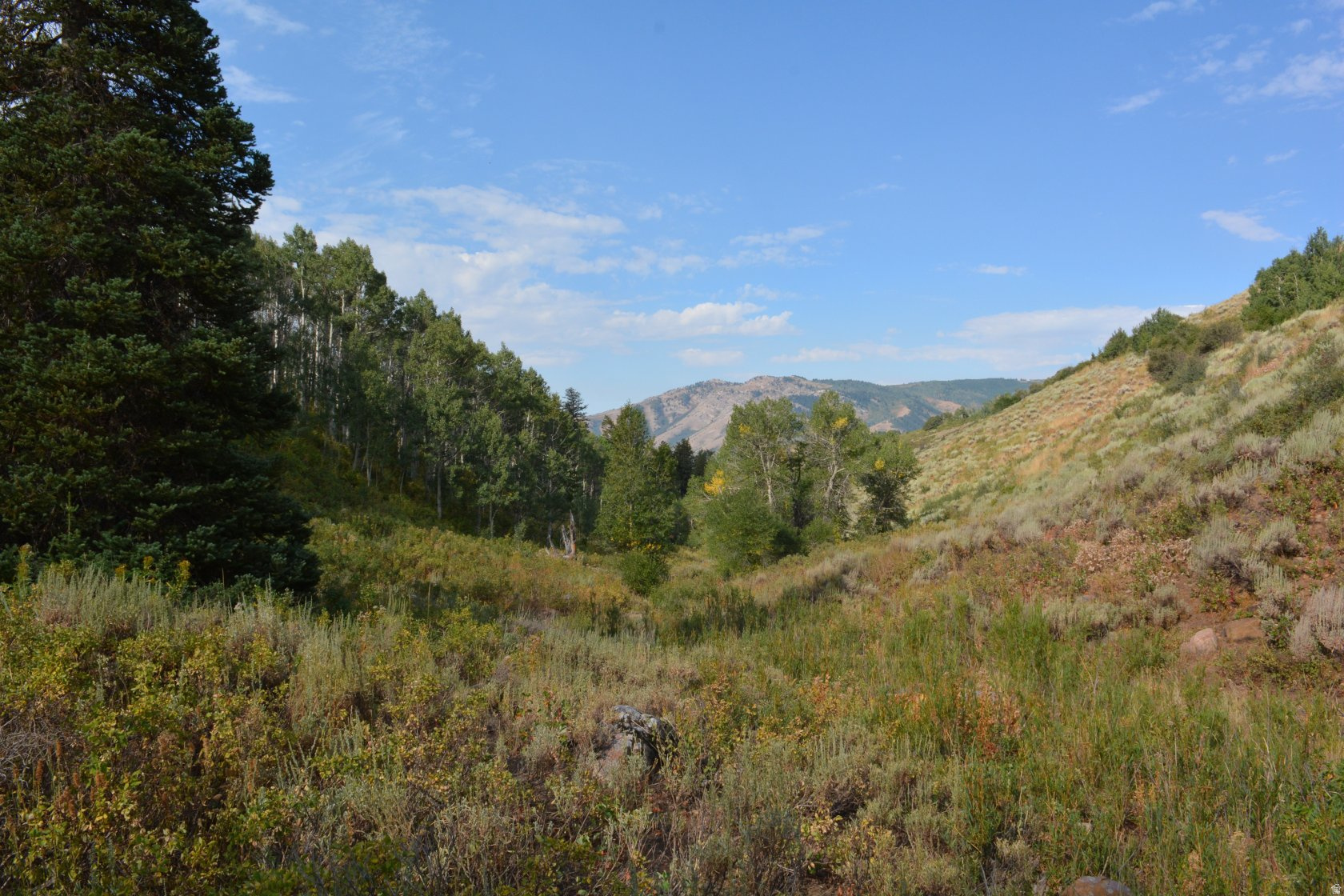 266  SUNRIDGE - TAX ID  230130266, Huntsville, UT 84317 — photo 1