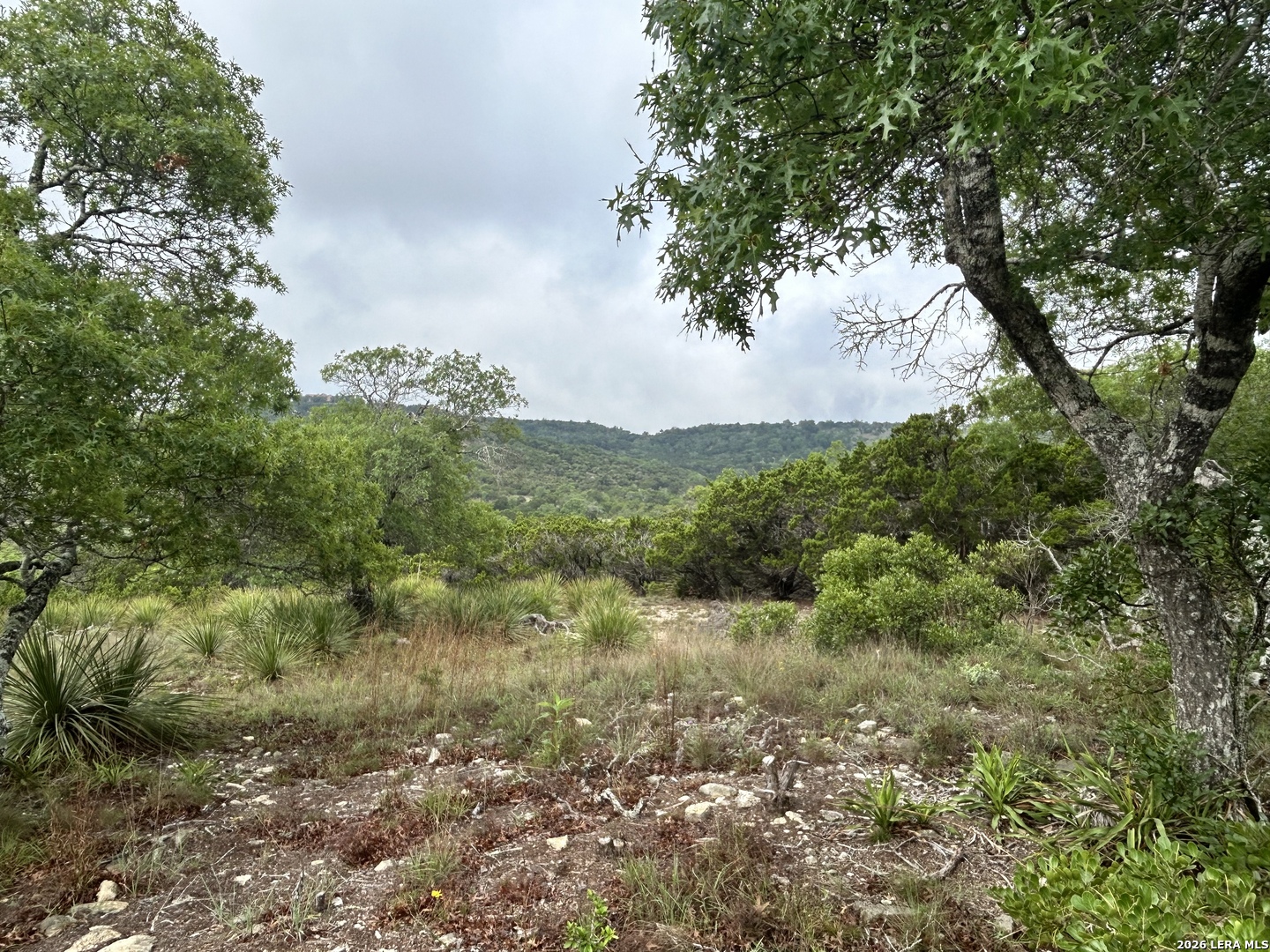 239 ESTANCIA LN, ,  78006 — photo 1