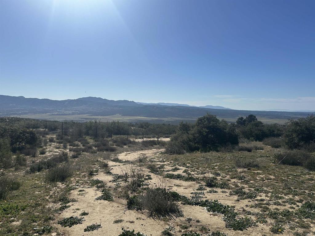 40368 Elm Brush Trail, Anza, CA 92539 — photo 1