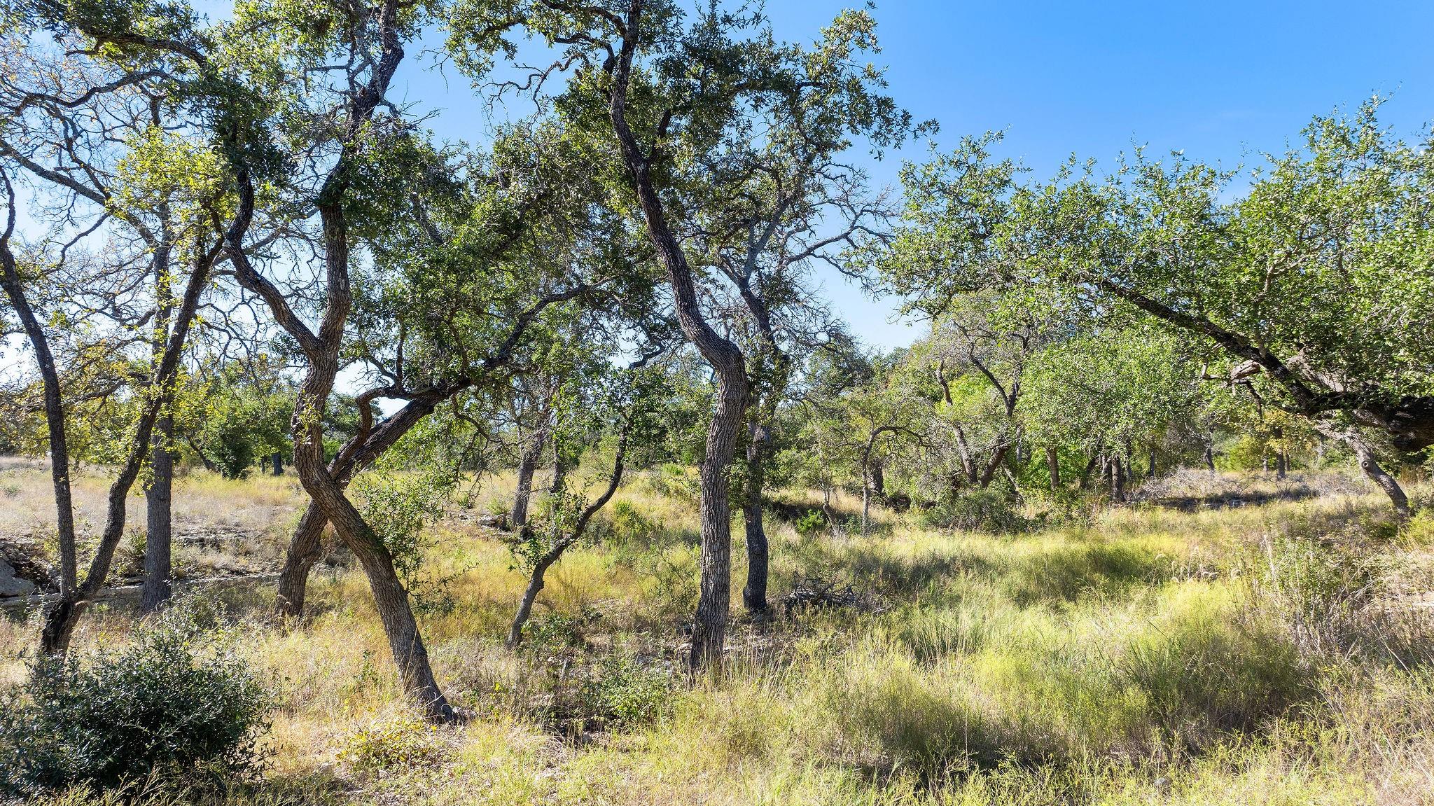 Lot 18 Mesa Ranch Rd, Dripping Springs, TX 78620 — photo 1