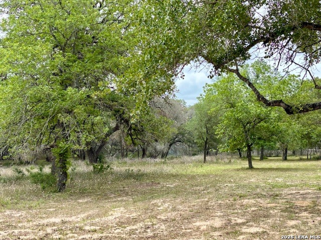 472 Rose Blossom Loop, ,  78121 — photo 1
