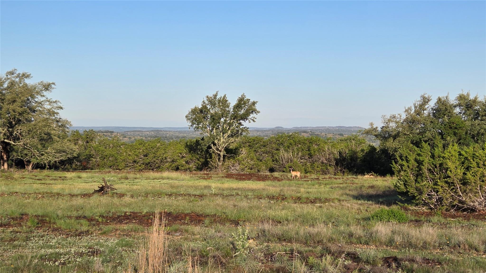 219 Canyon, Johnson City, TX 78636 — photo 1