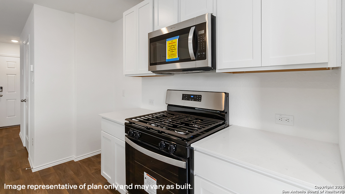4307 Common Sage, ,  78073 — photo 1
