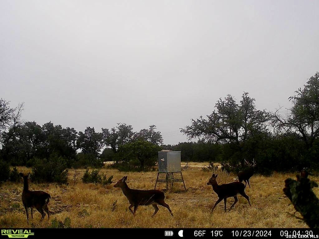 07 Bison Way, , 78631 — photo 1