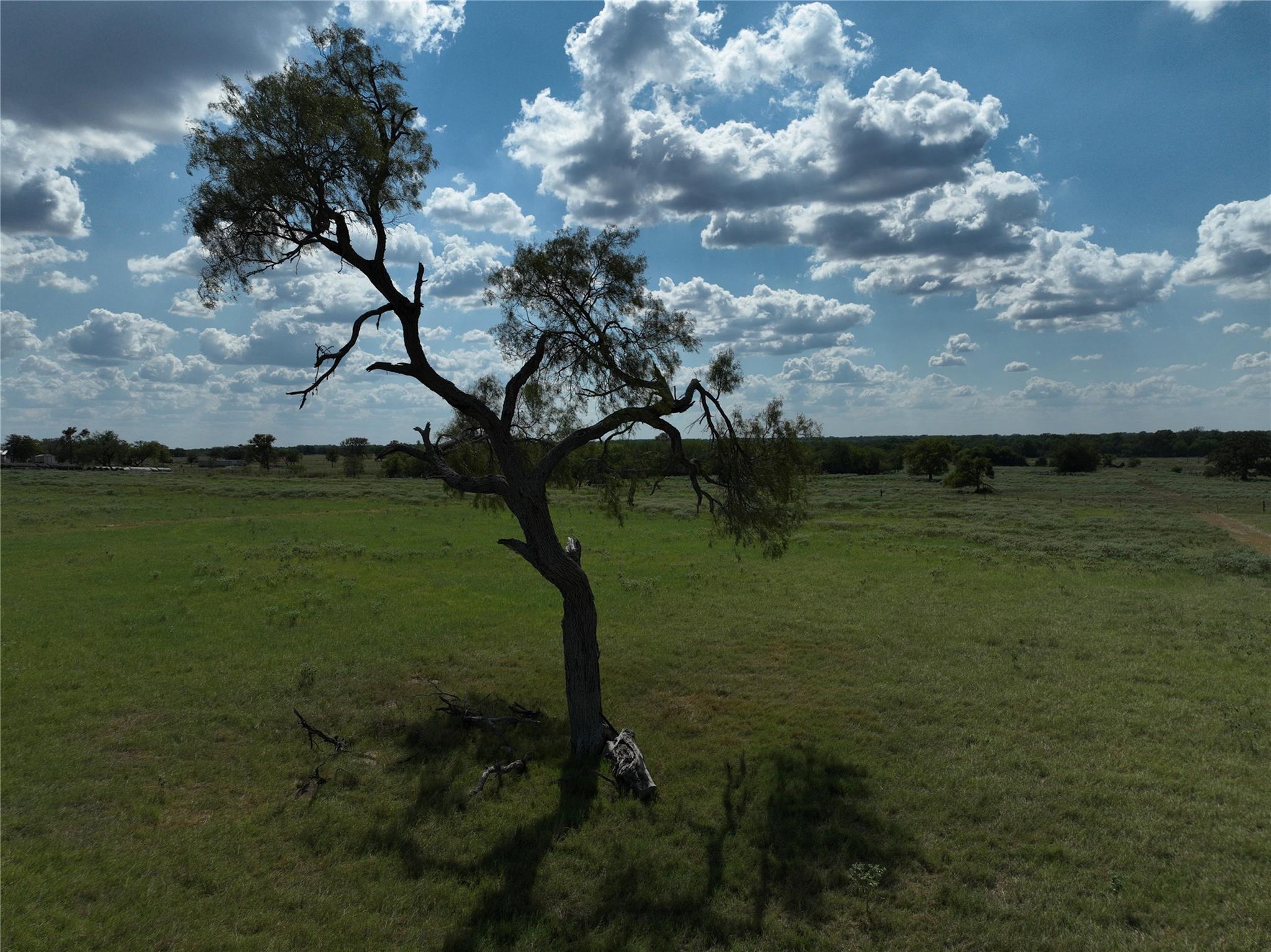 TBD Lot 7 Tenney Creek, Dale, TX 78616 — photo 1