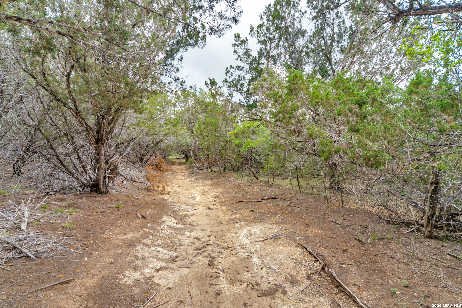 TRACT 2 Elm Pass, ,  78003 — photo 1