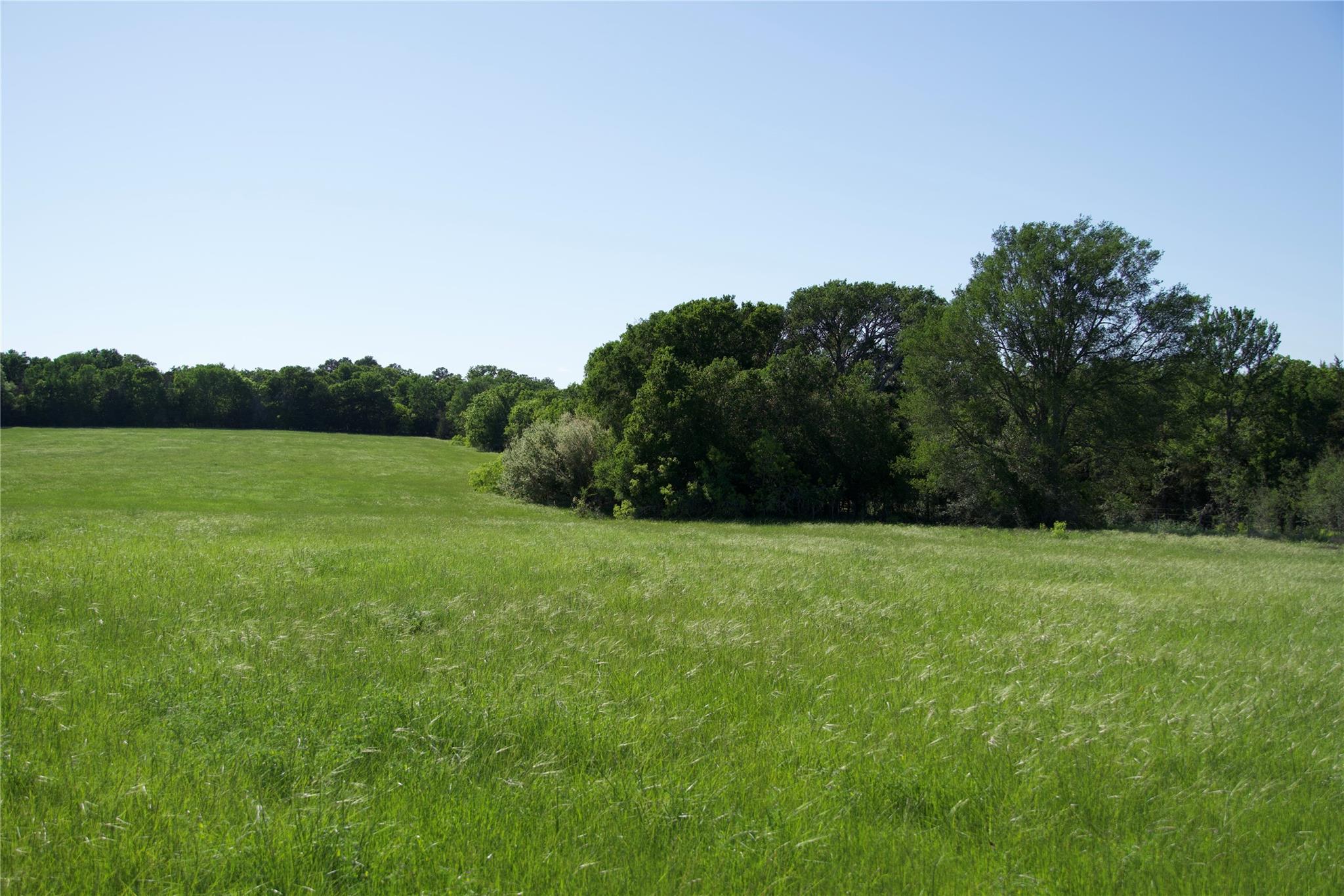 TBD St Delight (Tract 4), Paige, TX 78659 — photo 1