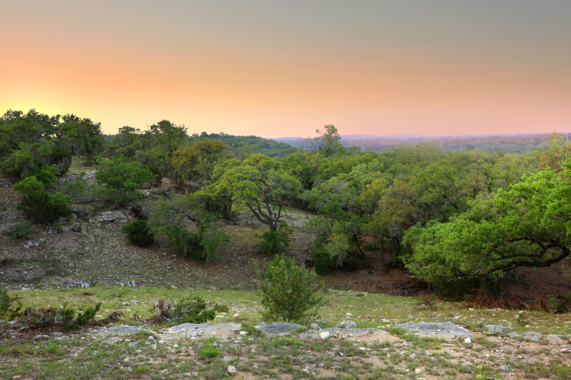 396 Waters View, Dripping Springs, TX 78620 — photo 1