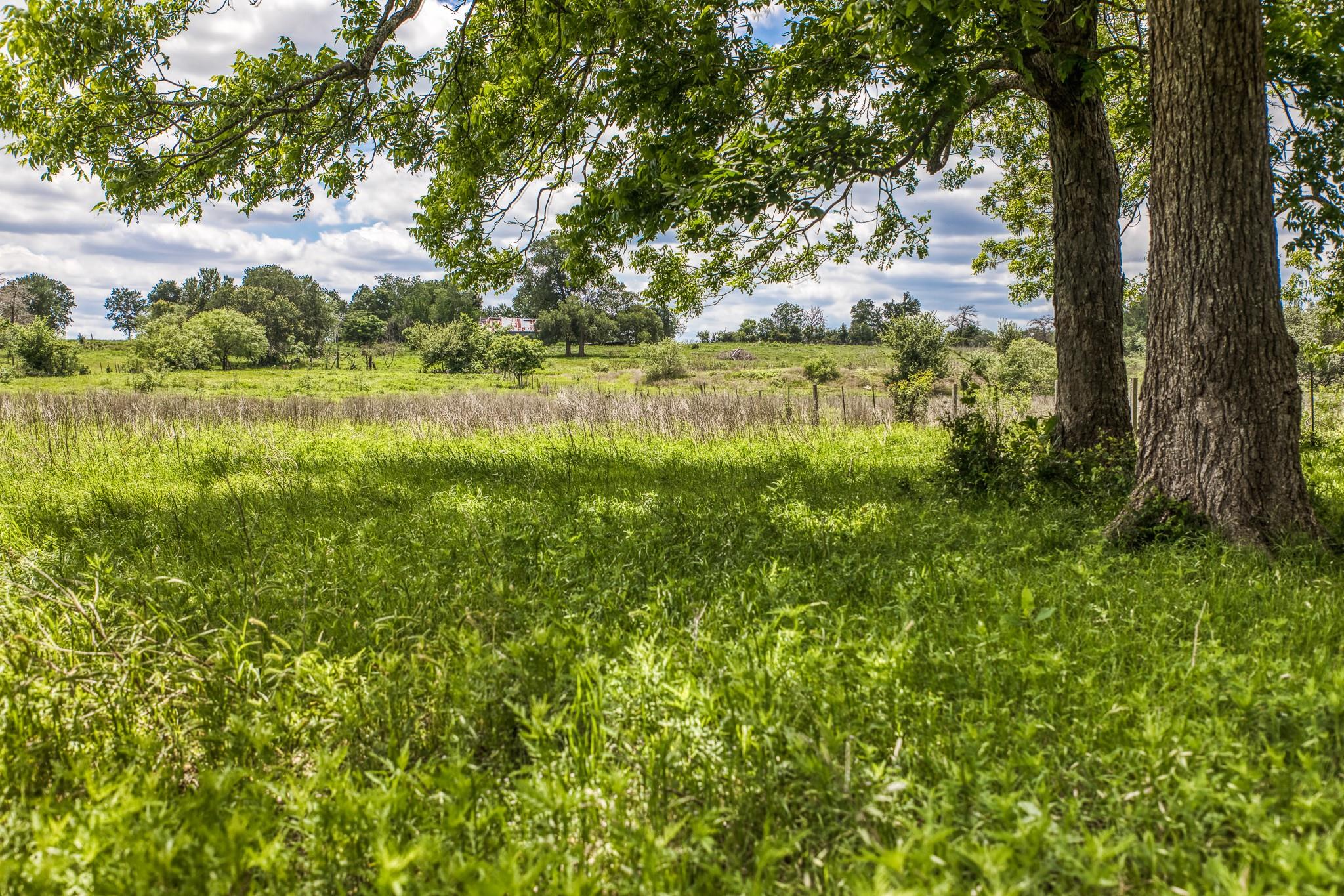 5233 County Road 106, Caldwell, TX 77836 — photo 1