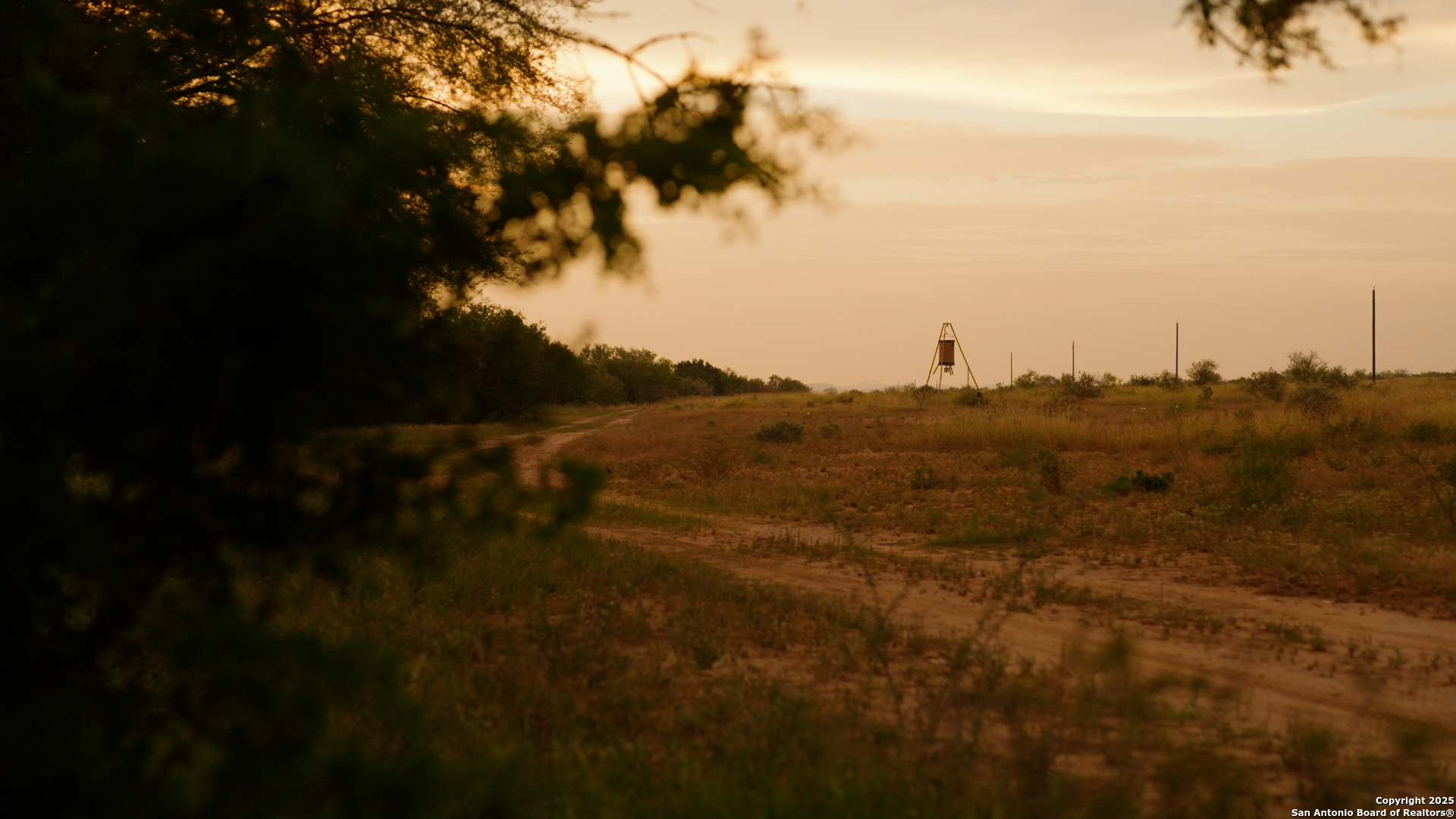 00 TX-55, , 78801 — photo 1