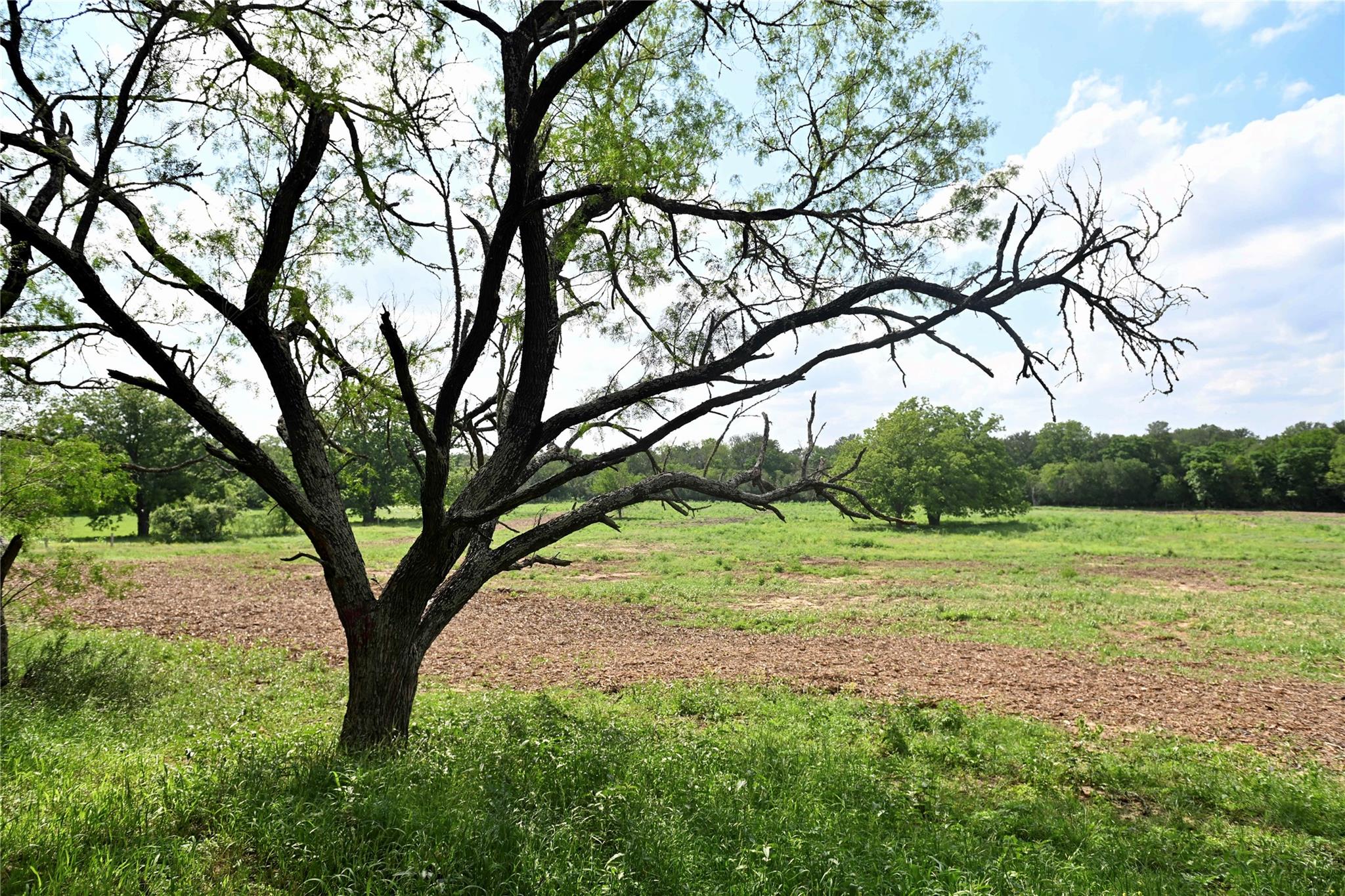 Lot 5 Valley Creek, Cedar Creek, TX 78612 — photo 1