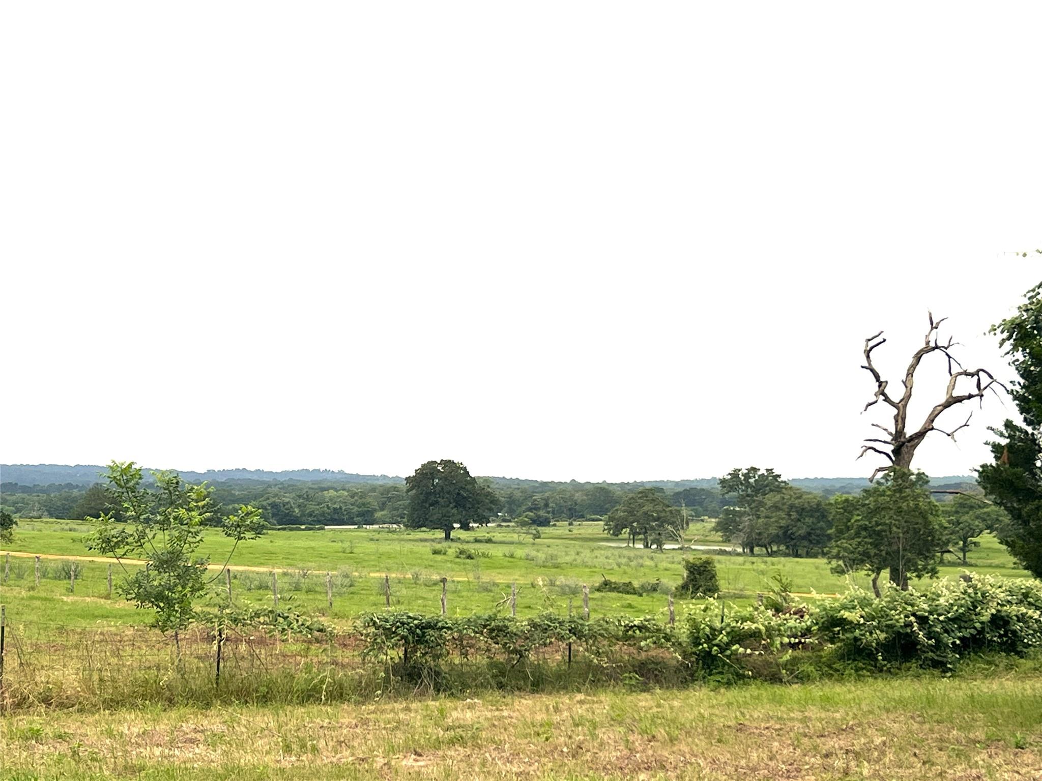 160 Rosanky Cattle Company, Smithville, TX 78957 — photo 1