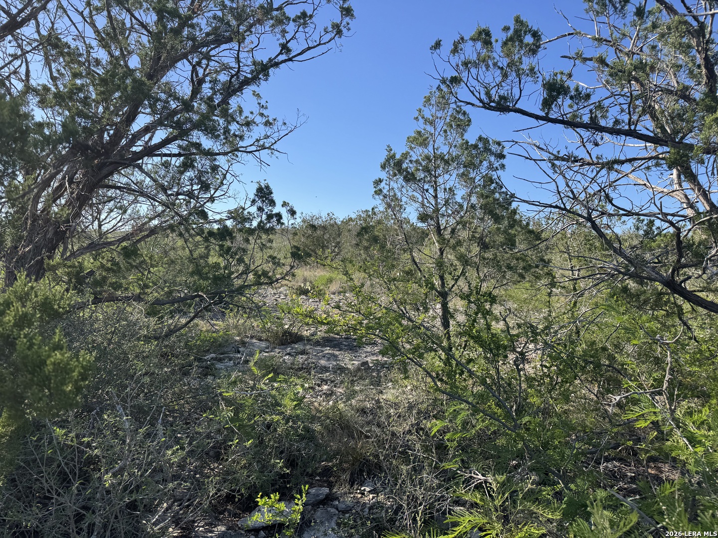 3340 CR 429, ,  78801 — photo 1