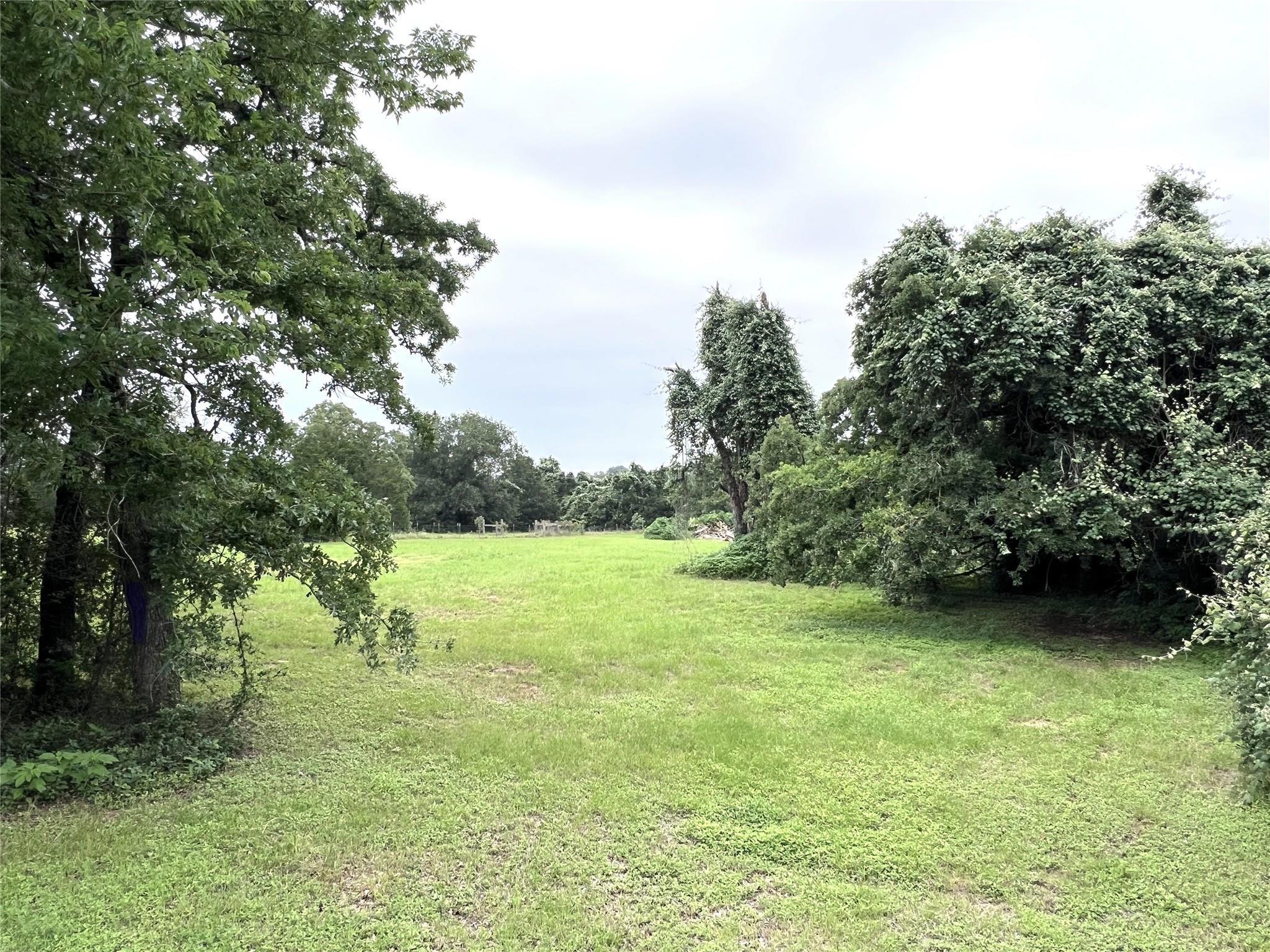 TBD 2 Rosanky Cattle Company, Rosanky, TX 78953 — photo 1